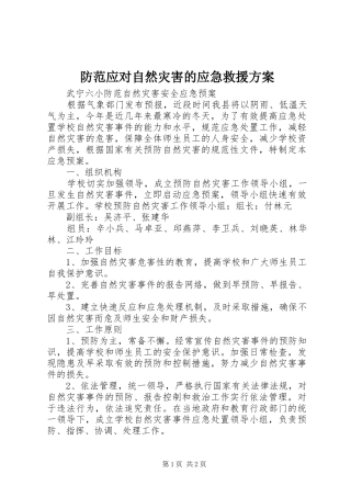 防范应对自然灾害的应急救援实施方案 