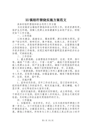 XX镇秸秆禁烧方案范文 
