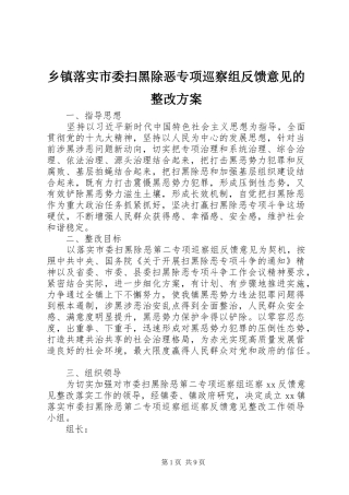 乡镇落实市委扫黑除恶专项巡察组反馈意见的整改实施方案 