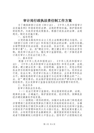 审计局行政执法责任制工作方案