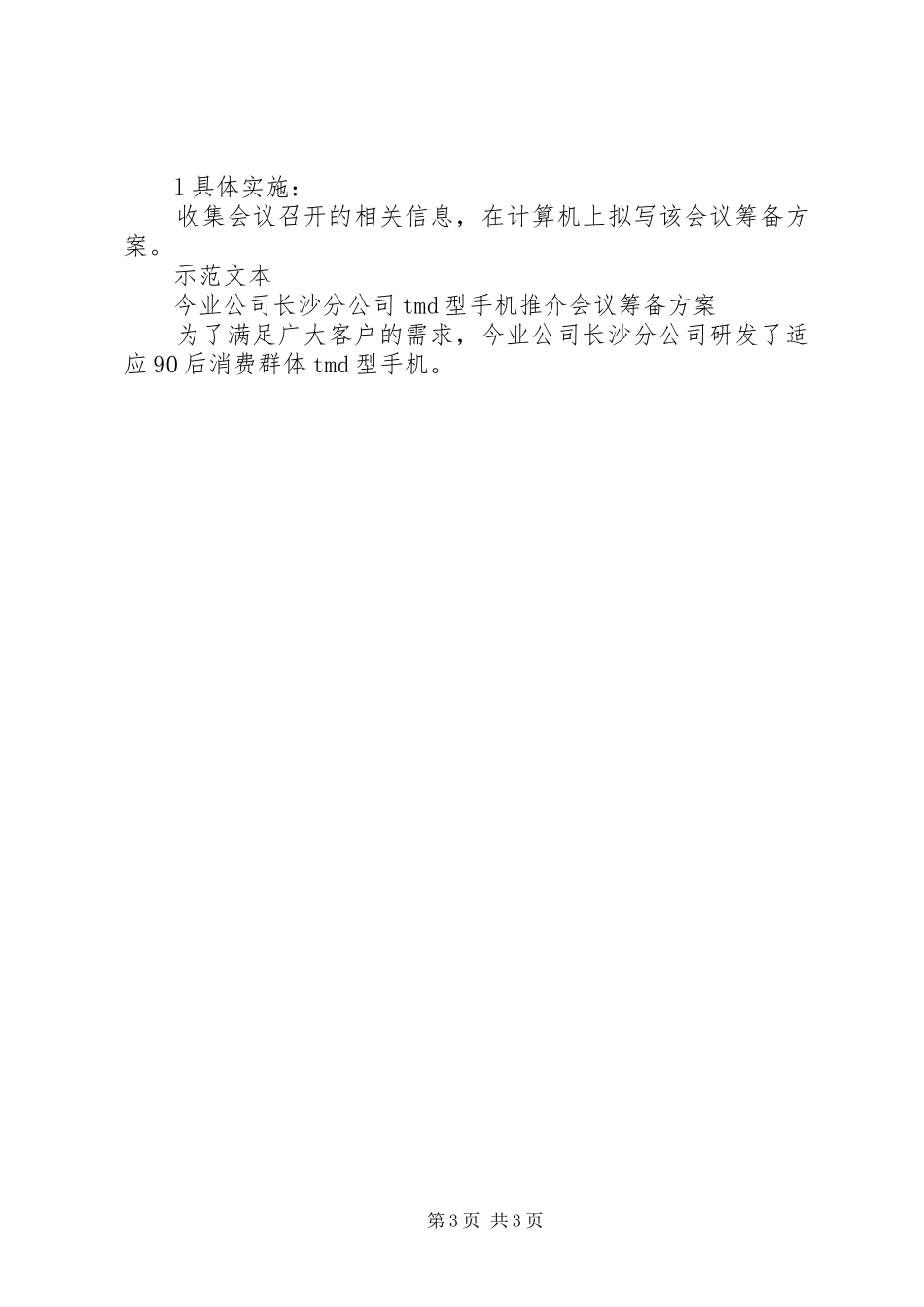 会议筹备实施方案[五篇范例] _第3页