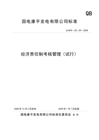 经济责任制考核管理标准(试行)