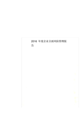 2016年度企业全面风险管理报告