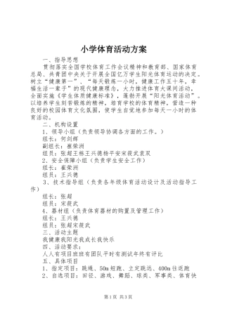 小学体育活动实施方案 