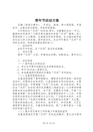 青年节活动实施方案 