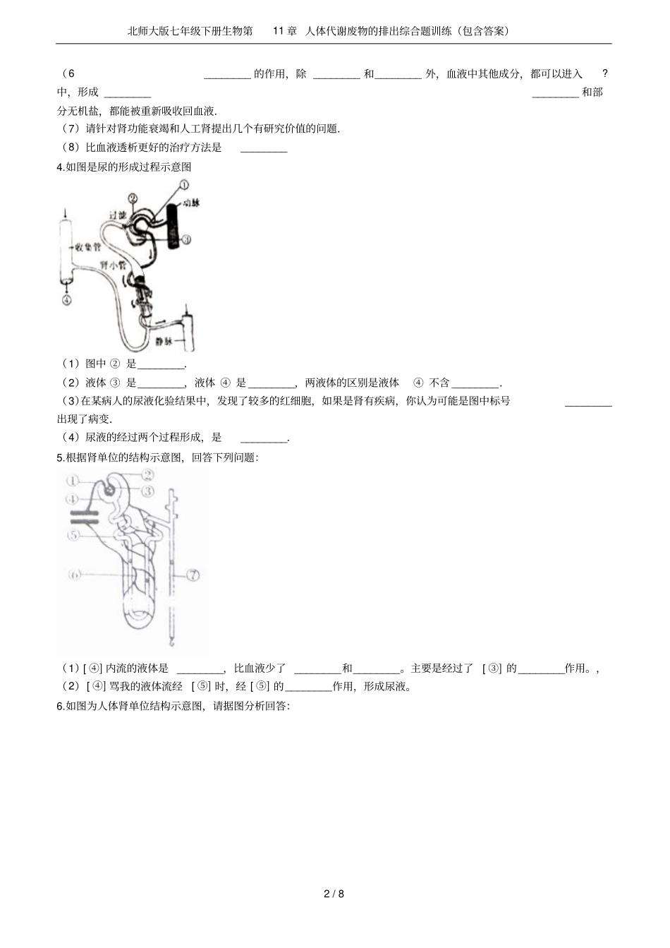 北师大版七年级下册生物第11章人体代谢废物的排出综合题训练(包含答案)_第2页