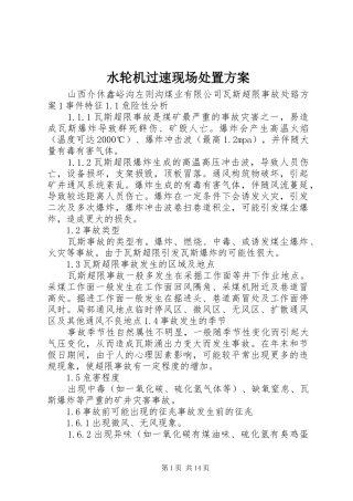 水轮机过速现场处置实施方案 
