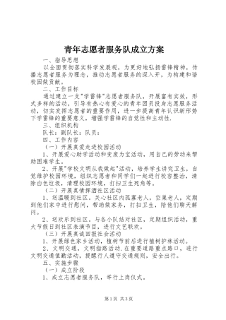 青年志愿者服务队成立实施方案 