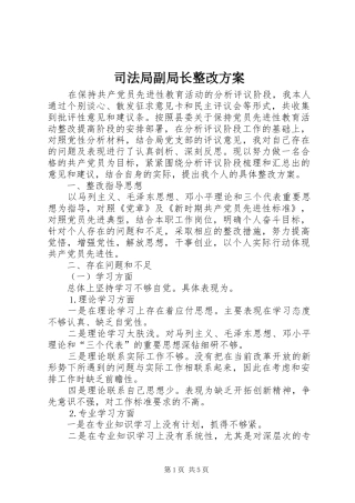 司法局副局长整改方案