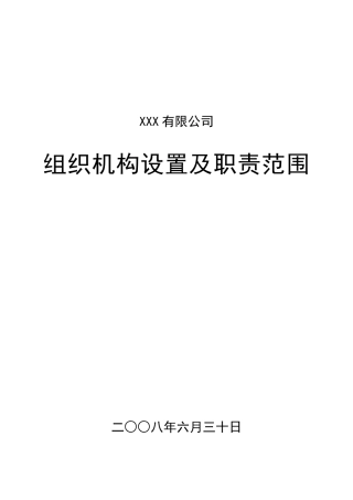 本公司所有岗的岗位职责（内部文件）