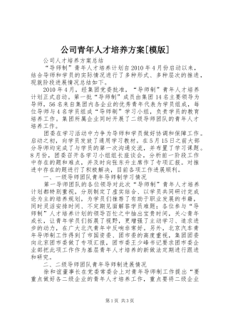 公司青年人才培养实施方案[模版] 