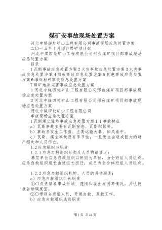 煤矿安事故现场处置实施方案 