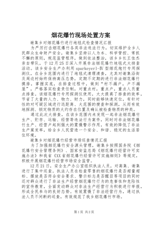 烟花爆竹现场处置实施方案 