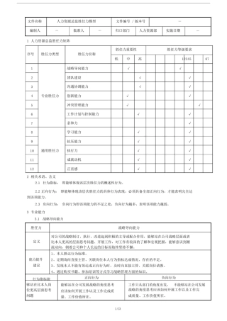 人力资源总监胜任力模型新.doc