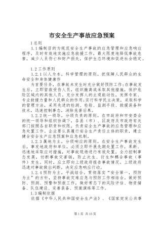 市安全生产事故应急处置预案 