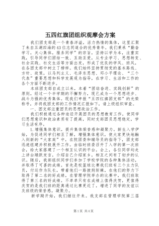 五四红旗团组织观摩会实施方案 