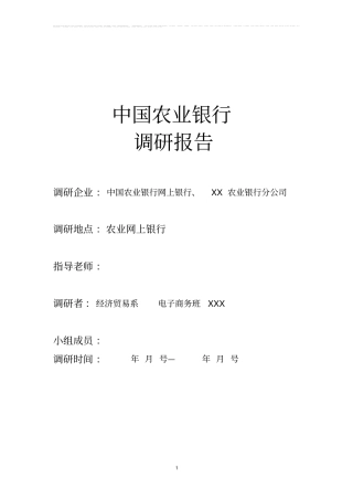 中国农业银行调研报告