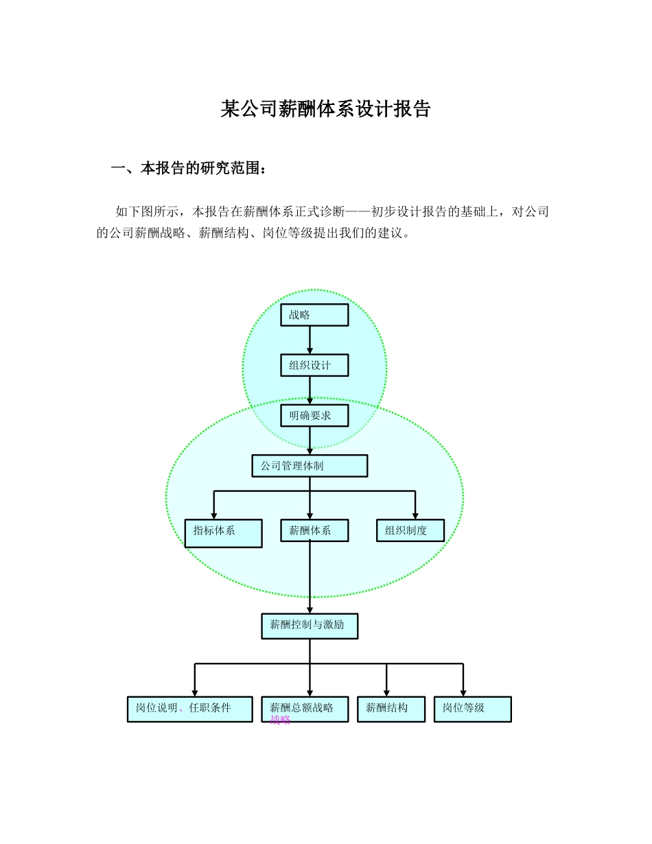 某公司薪酬设计报告书_第1页