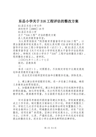 东岳小学关于316工程评估的整改实施方案