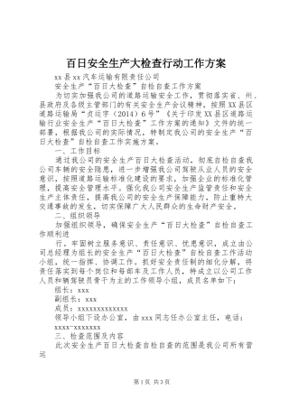百日安全生产大检查行动工作实施方案 