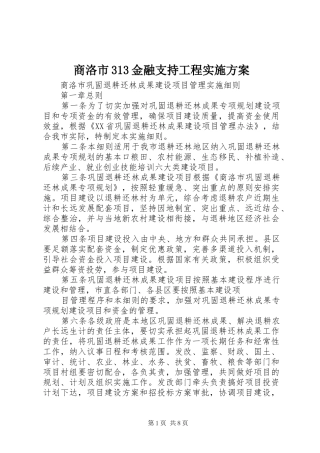 商洛市313金融支持工程方案 (4)