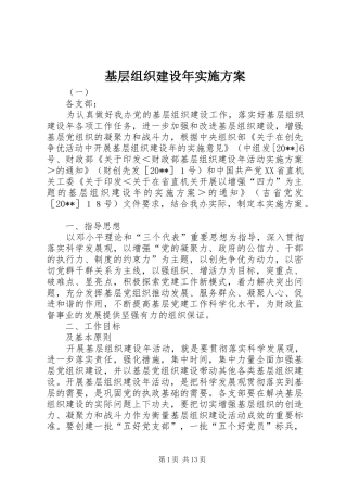 基层组织建设年方案 