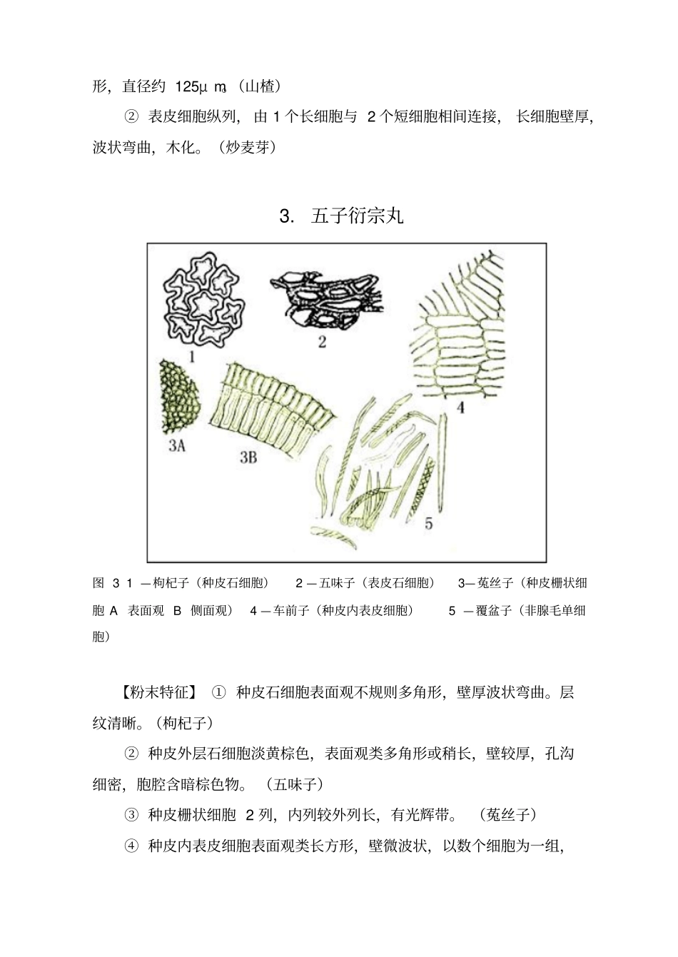 产品显微图(DOC47页)_第2页