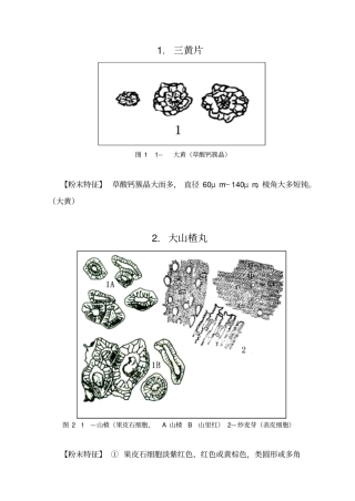 产品显微图(DOC47页)