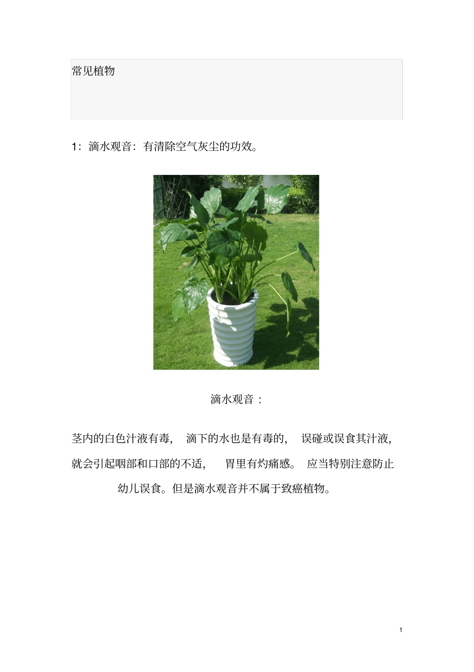室内常见植物净化空气的功效_第1页