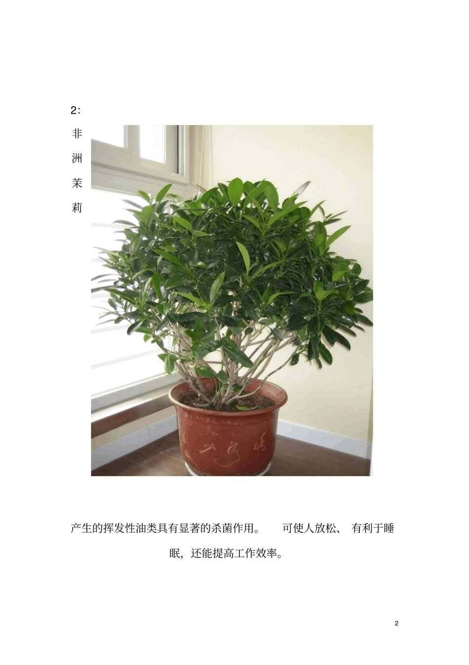 室内常见植物净化空气的功效_第2页