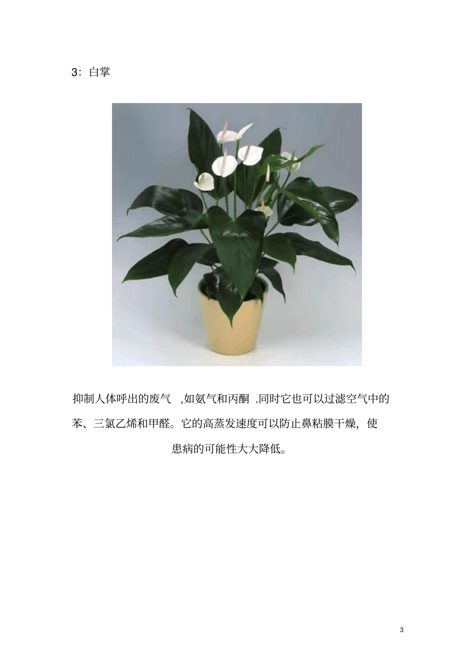 室内常见植物净化空气的功效_第3页