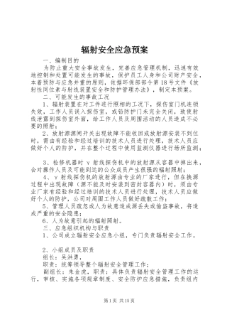 辐射安全应急处理预案 