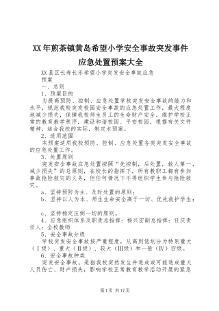 XX年煎茶镇黄岛希望小学安全事故突发事件应急预案大全 