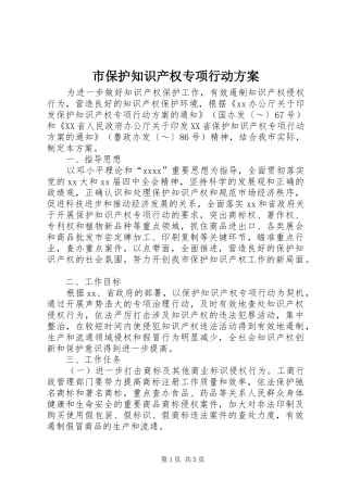 市保护知识产权专项行动实施方案 
