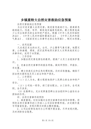 乡镇重特大自然灾害救助应急处置预案 