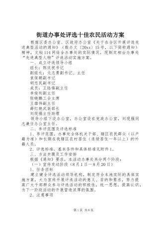 街道办事处评选十佳农民活动实施方案 