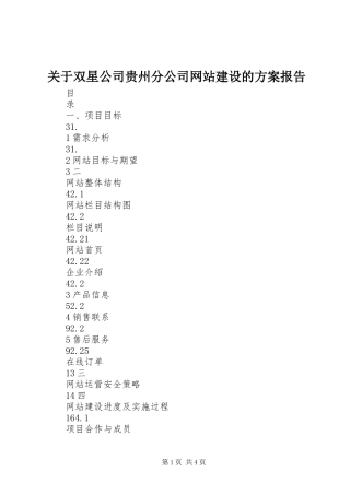 关于双星公司贵州分公司网站建设的实施方案报告 