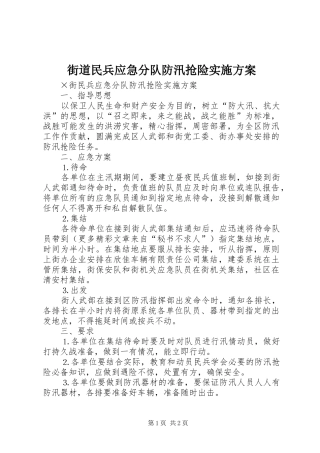 街道民兵应急分队防汛抢险方案 