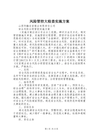 风险管控大检查方案 