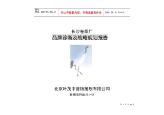 白沙品牌的诊断规划之1品牌诊断及战略规划报告