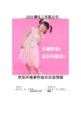 磷化工磷工业公司突发环境事件应急预案(化工)