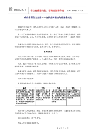 白沙品牌塑造与传播全记实