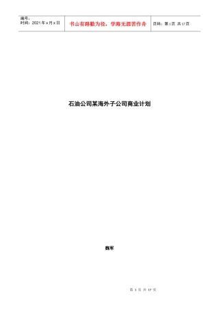 石油公司某海外子公司商业计划