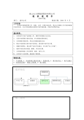 省外公司组织说明书