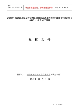 省道307线盐源县城至泸沽湖公路路面改造工程建设项目D