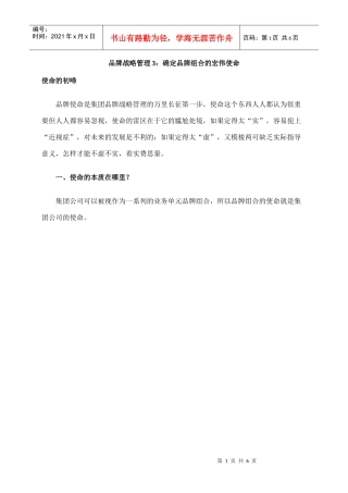确定品牌组合的宏伟使命