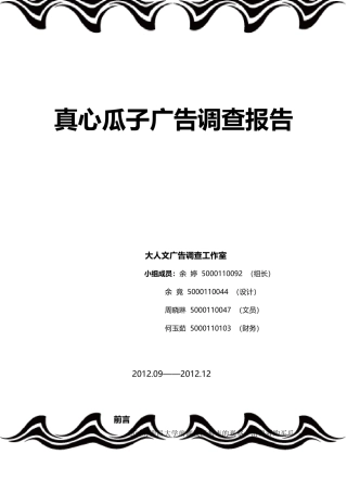 真心瓜子广告调查报告范本