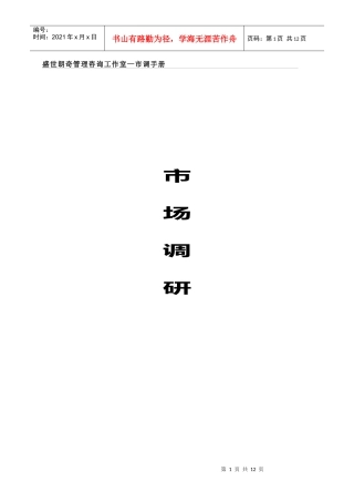 盛世朗奇管理咨询工作室市调手册