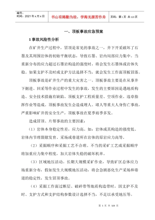 矿井专项应急预案