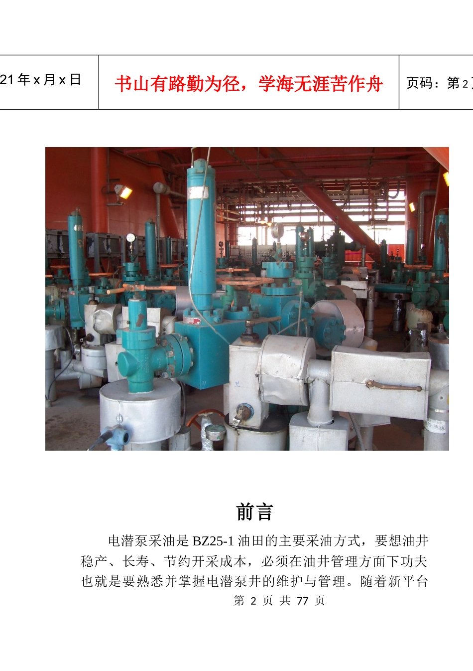 电泵井生产管理与维护手册--李霖_第2页